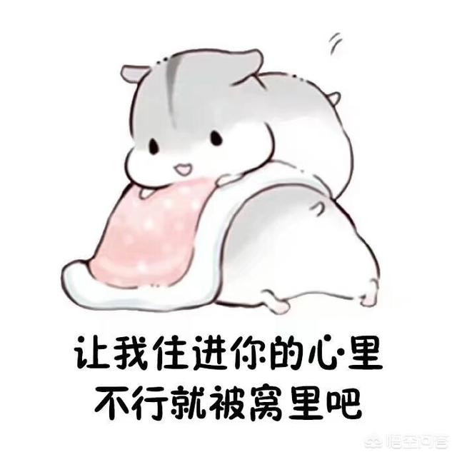 把女朋友惹生气了该怎么哄