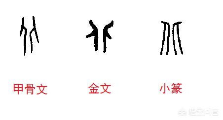 头条问答 在古代战败为何叫 败北 而不叫 败南 北 在古代是什么意思 12个回答