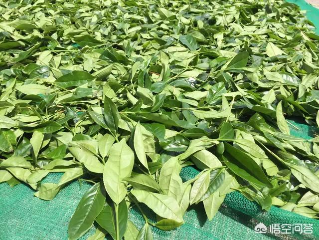 奶妈贵宾网真假:土豪们有哪些低调操作深深刺痛过你？