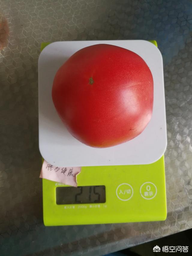 西红柿怎么吃减肥,西红柿减肥法一周瘦20斤