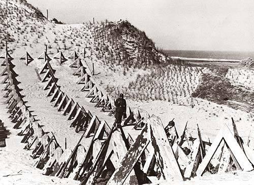 诺曼底登陆战役有多惨烈盟军是如何攻破德军防线的