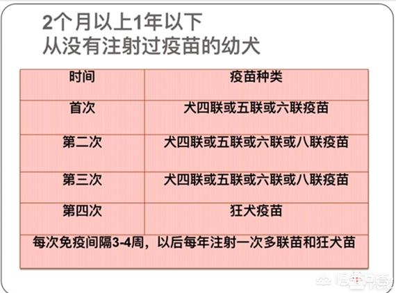 狂犬疫苗多长时间内打图片