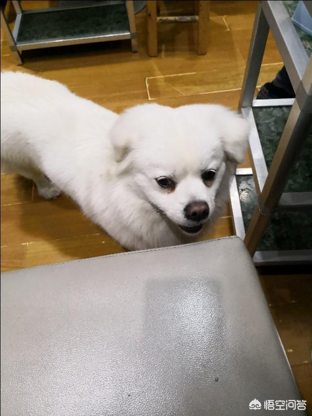 朋友道歉怎么说原谅她的话？