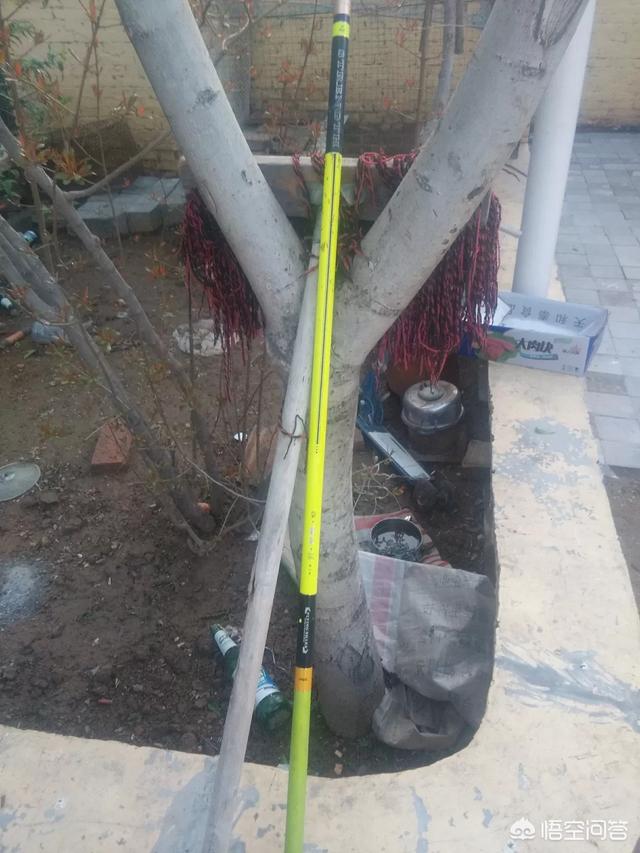 什么品牌的渔具比较好？
