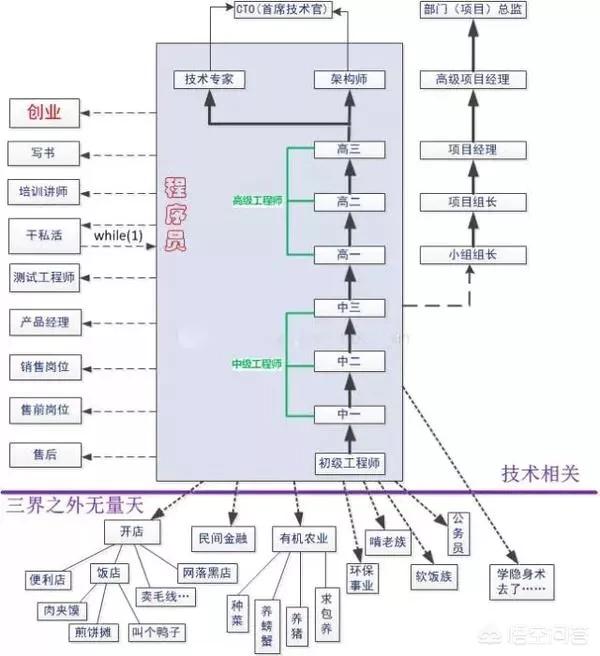 程序员的职业上升道路是怎样的？