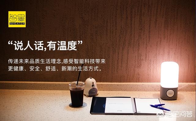 佐藤雅信:日本有哪些匠人称得上是艺术家？