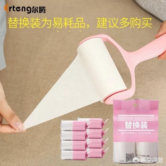 柯基断尾需要准备什么:准备养柯基，有什么建议？