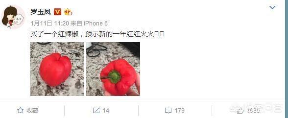 凤姐的资料:罗玉凤在美国生活的怎么样，生活的好吗？
