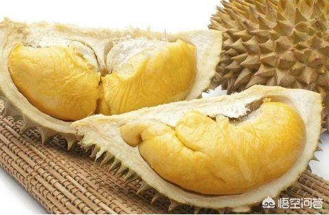 榴莲金菠萝图片:感觉榴莲价格居高不下，主要靠进口，南方可以种植吗？