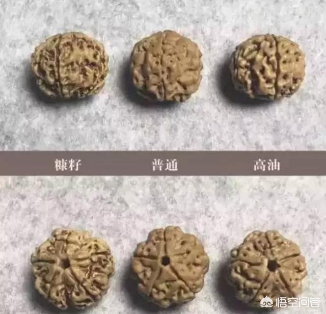 金刚多少钱:100元和10000元的金刚菩提子，差别到底在哪里？