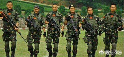 我是特种兵简介:《我是特种兵》电视剧中，孤狼特别突击队和眼镜蛇小队哪个厉害？