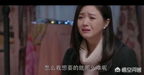 欢乐颂魏渭:如何评价《欢乐颂》里的魏渭