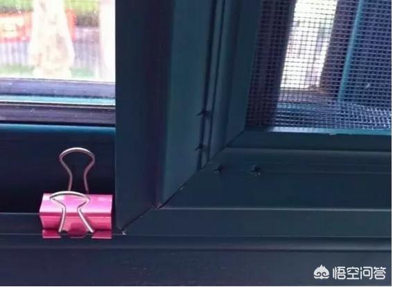 买猫别墅好还是猫爬架:为什么高层养猫要封窗封阳台？