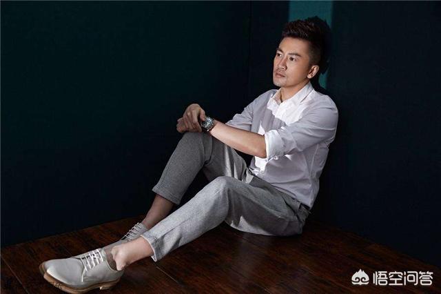 苏有朋主演的电视剧:最近电视剧为什么没有苏有朋出演？