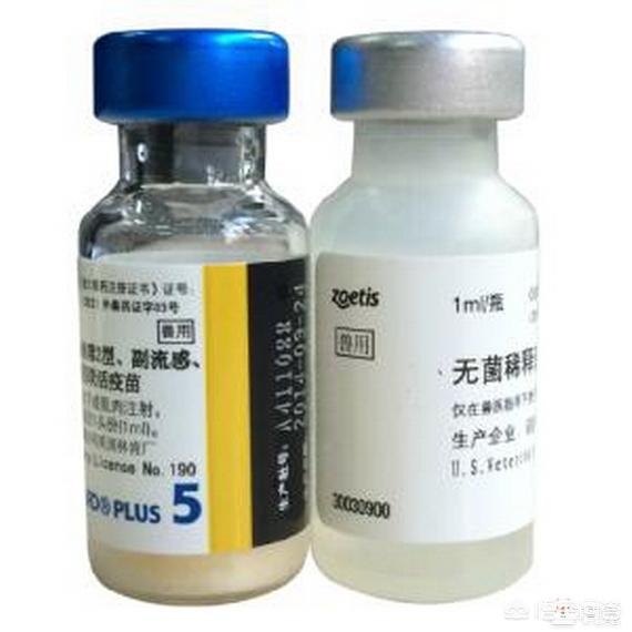 宠物消毒剂多久用一次:猫砂要不要定期全部更换？