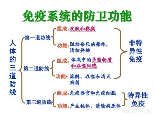 小孩生病:小孩生病发朋友圈怎么说 一岁多的孩子老是生病，怎么提高抵抗力？