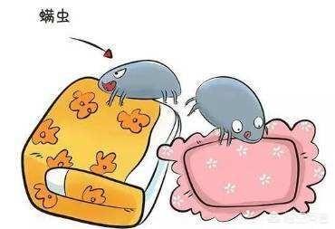 saloge螨虫喷剂用法:日本螨虫喷雾剂怎么用 小猫螨虫感染怎么办，猫咪身上螨虫用什么药？
