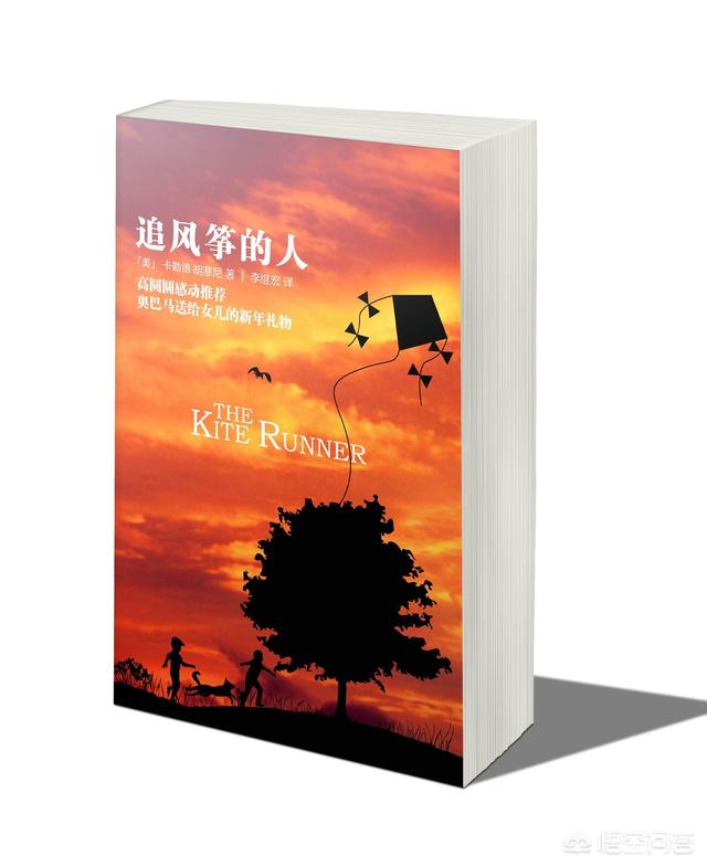 风筝的故事:你知道《追风筝的人》吗，是怎样的一本书？