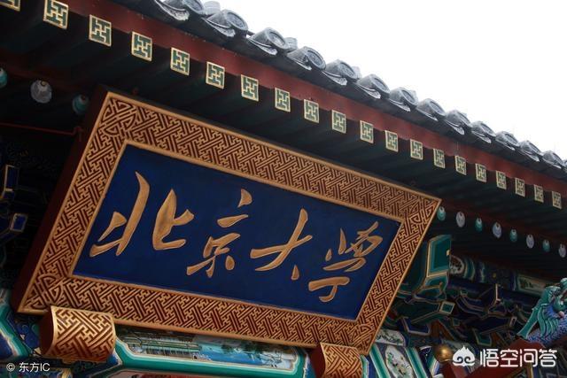 鹦鹉糖糖招主人冷落:狄仁杰当面让武则天戒色，面对这样的尴尬武则天是什么样的态度？