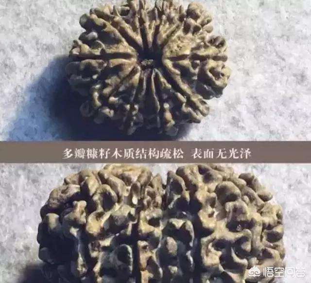 金刚多少钱:100元和10000元的金刚菩提子，差别到底在哪里？