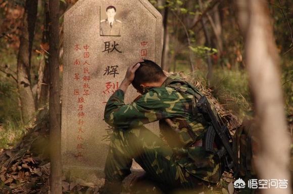我是特种兵简介:《我是特种兵》电视剧中，孤狼特别突击队和眼镜蛇小队哪个厉害？