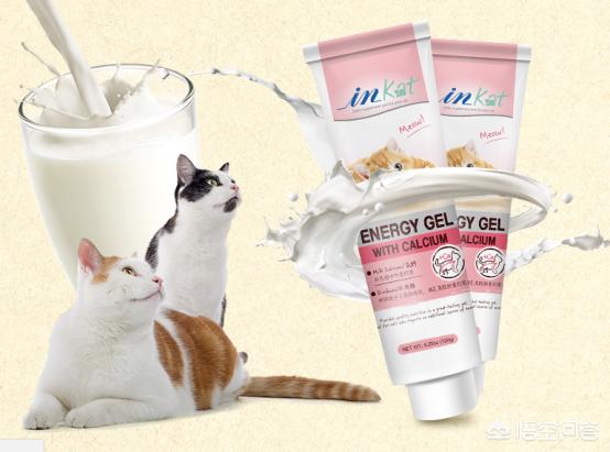 猫耳朵里面黑色的硬块:怎么知道猫咪耳朵里有没有耳螨？