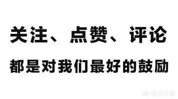 琴仙的小宠物饲养日记在哪能看:有没有好玩的模拟经营类单机手游？ 琴仙的小宠物饲养日记