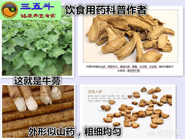 头条问答 喝牛蒡茶有什么功效 51个回答