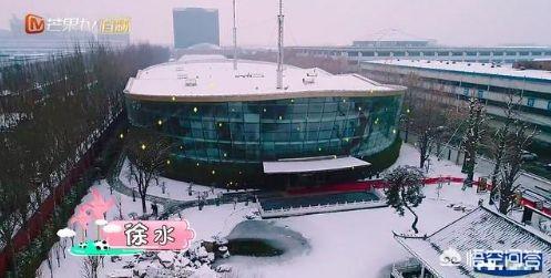 哈文的父亲:李咏和哈文感情那么好，李咏已走几年了，哈文会改嫁吗