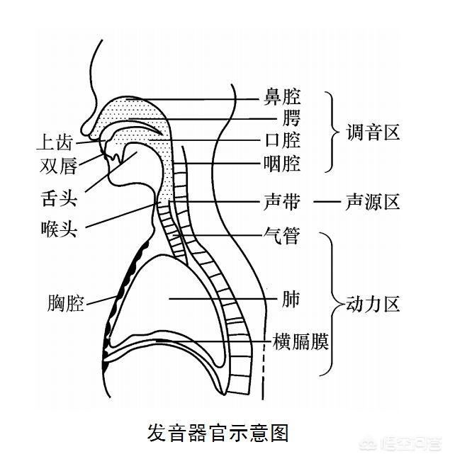 有哪些高音很高的歌？