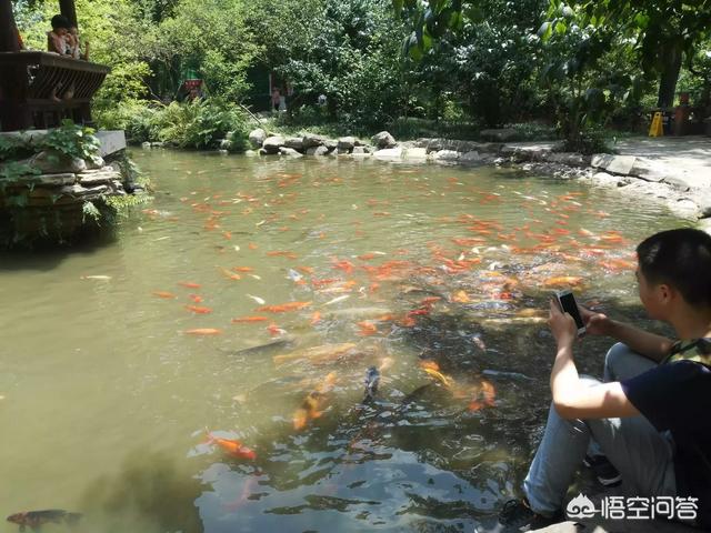 头条问答 上联 庭前绿柳少拂尘 下联是什么 晨翁1的回答 0赞