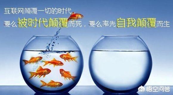 员工管理系统有没有好的推荐软件？