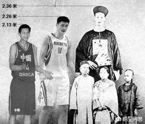 历史上最高的人是谁？有哪些故事？