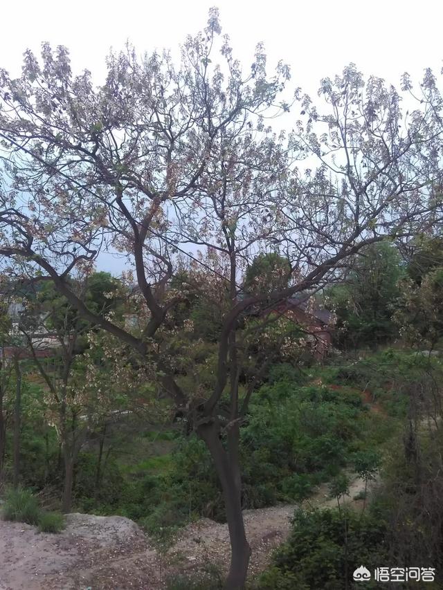 二十谈身边灵异事件:大家都有哪些发生在自己身边的比较灵异的事情，都说说……？