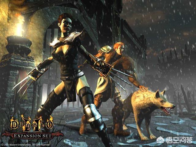 《暗黑破坏神2》当年都有些什么经典玩法？插图8