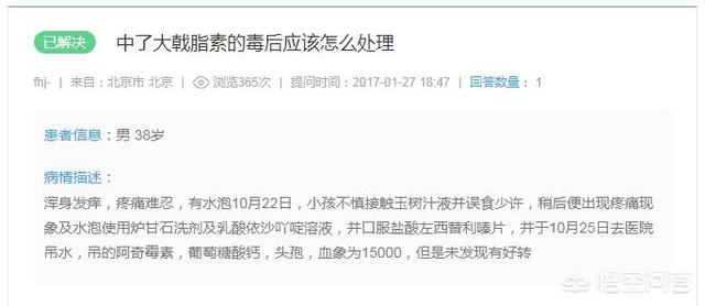 燕子掌有毒:多肉植物燕子掌有毒吗？放在室内或者卧室是否合适呢？