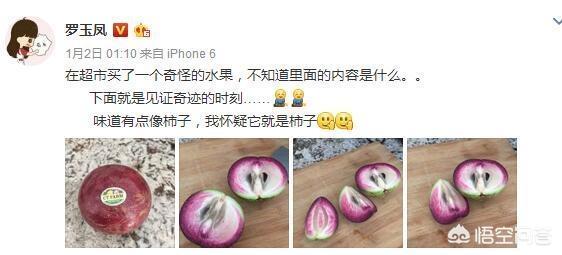 凤姐的资料:罗玉凤在美国生活的怎么样，生活的好吗？
