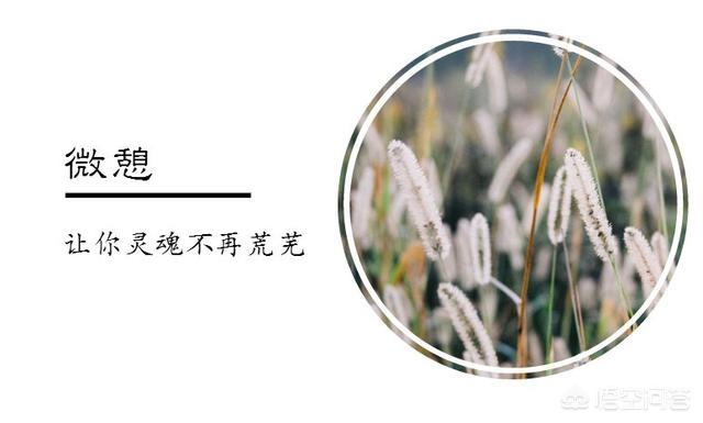 对你而言，篮球巨星科比意味着什么