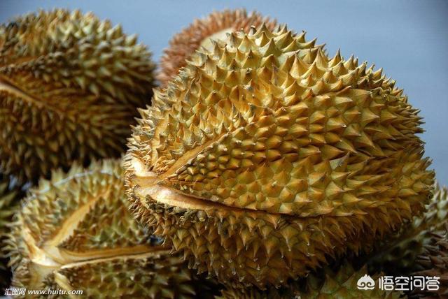 榴莲金菠萝图片:感觉榴莲价格居高不下，主要靠进口，南方可以种植吗？