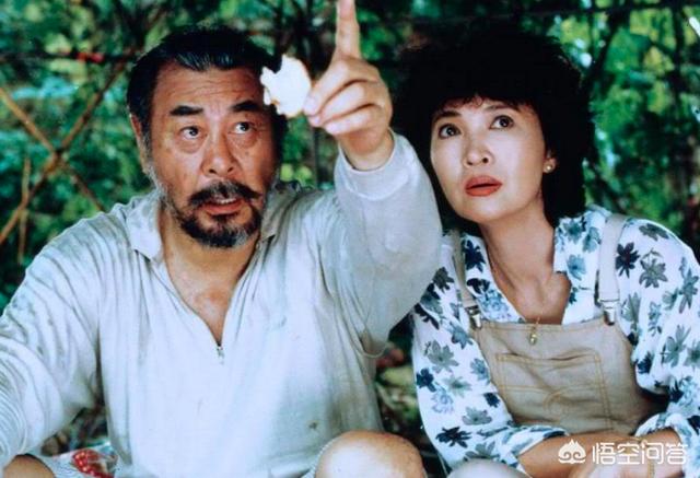 许鞍华作品:如何评价许鞍华导演她的电影为什么总能给人以触动