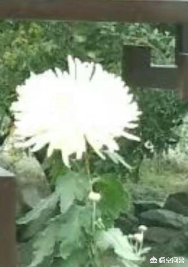 新坟下雨塌陷能添土吗,清明添坟从哪儿用土合适？