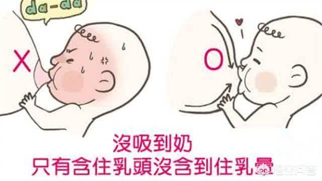 哪里可以买到软骨鲫鱼:软骨鲫怎么钓 宝宝才40天母乳就很少，有什么可以催奶的方法？