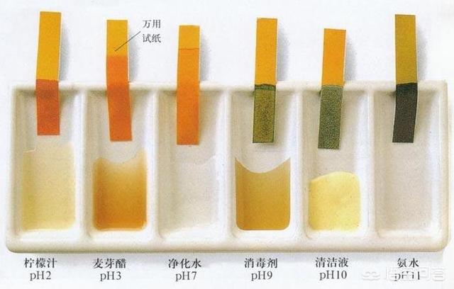 鱼缸如何检测水质:检测鱼缸水质的仪器 鱼缸怎样从水泡辨别水质？