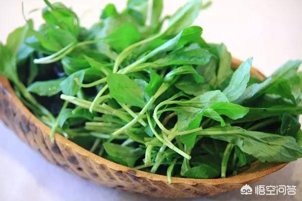上海特色小吃,上海有哪些不为人知的美食？