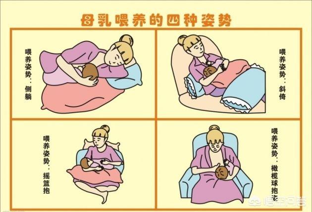 哪里可以买到软骨鲫鱼:软骨鲫怎么钓 宝宝才40天母乳就很少，有什么可以催奶的方法？