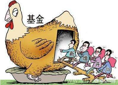 基金投资,初学阶段如何操作？
