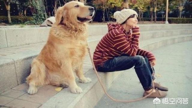 人和狗分开之后，狗狗还会记得以前的主人吗？插图33