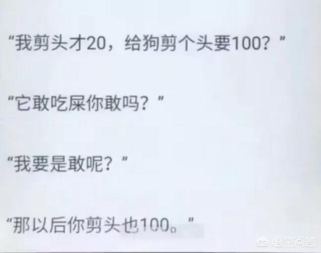 宠物医院软件有哪些:狗友们有没有养宠App推荐？