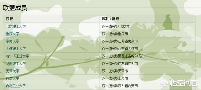 卓越大学联盟Excellence 9，实力怎么样？