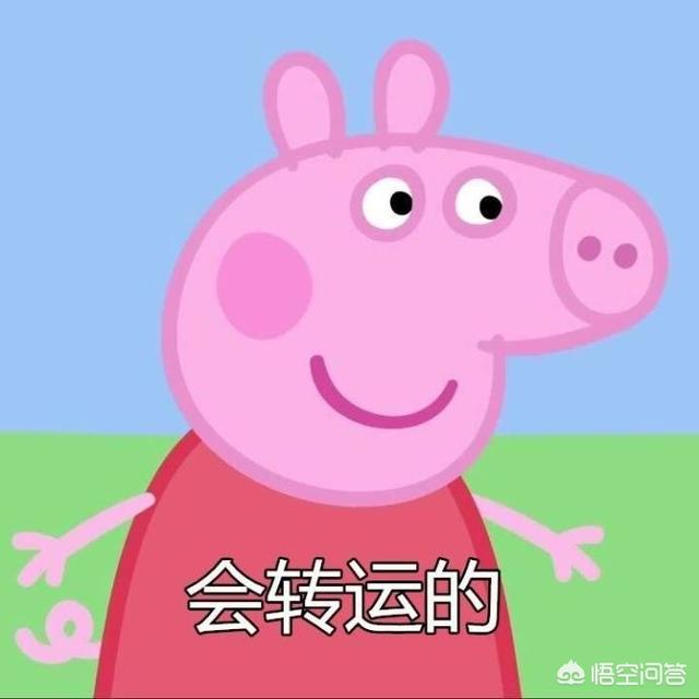 如果你去开直播,你想直播什么？